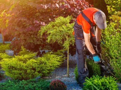 Paulo Augusto Berchielli